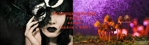 мефедрон Новодвинск