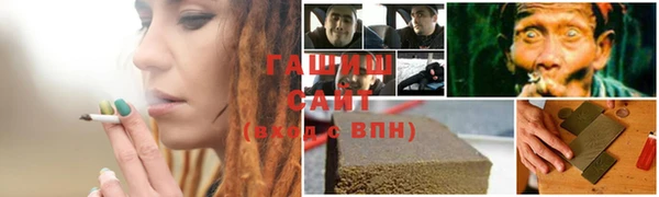 крисы Новозыбков