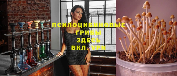 крисы Новозыбков