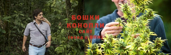 альфа пвп Няндома