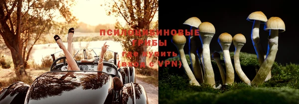 альфа пвп Няндома