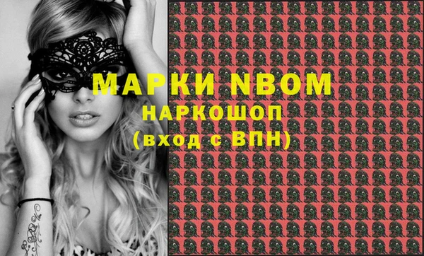крисы Новозыбков