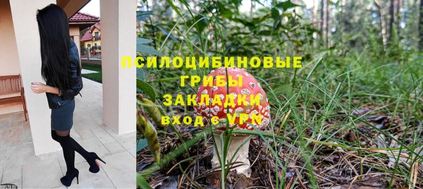 крисы Новозыбков