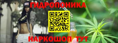 ECSTASY Камышлов