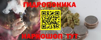 ECSTASY Камышлов