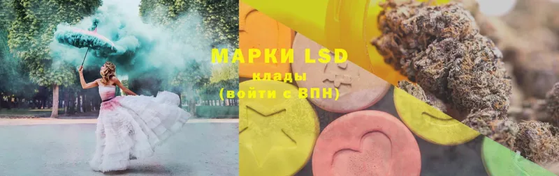 darknet телеграм  Мурино  LSD-25 экстази кислота  mega ONION 