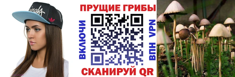 MEGA ССЫЛКА  Мурино  Псилоцибиновые грибы ЛСД 