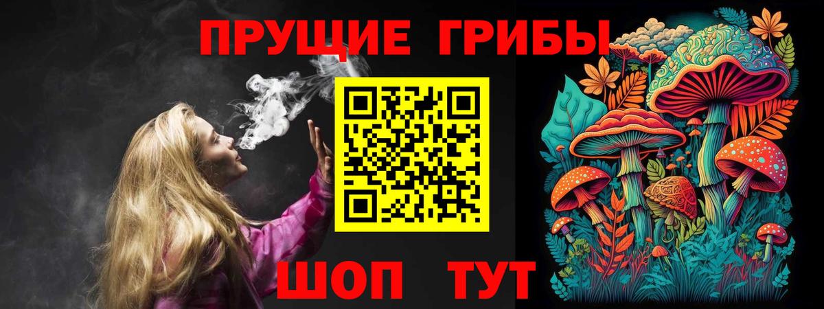 Галлюциногенные грибы GOLDEN TEACHER  Вход с VPN  Мурино 